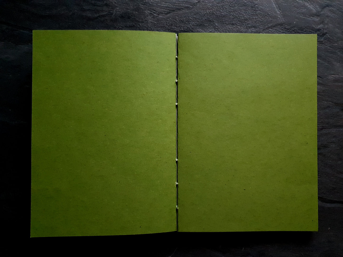 Grünes Skizzenbuch, 120g/m2 Vintage Kraftpapier, 100% Altpapier, DIN A5, 112 Seiten