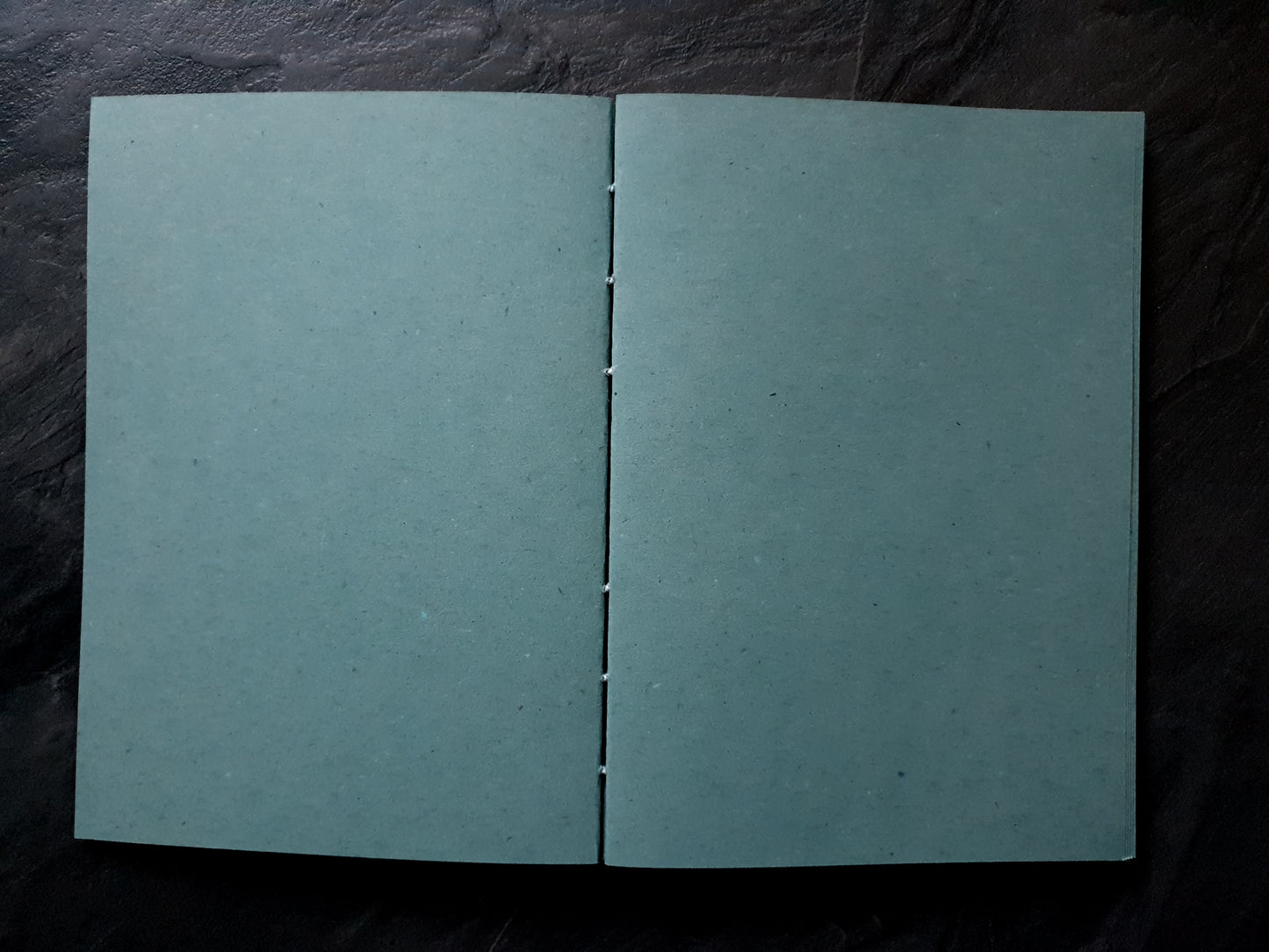 Grünes Skizzenheft, 100% Recycling Kraftpapier, DIN A5 (148x210mm), 96 Seiten, Hochformat