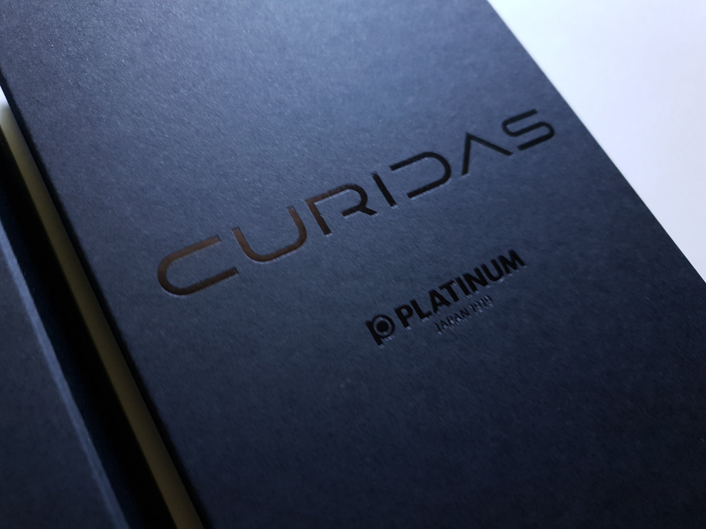 Platinum Curidas: Einziehbarer Füllhalter, Matte Edition, Federstärke M